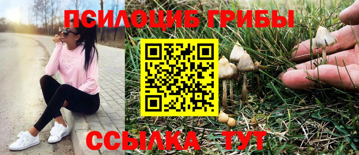 Галлюциногенные грибы мухоморы Ливны